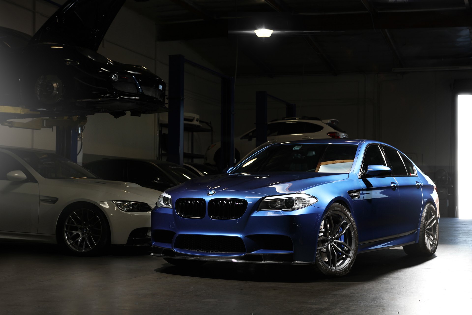 Dark Smoke Halo Headlights on Blue BMW 5-Series - Photo by Vorstiner