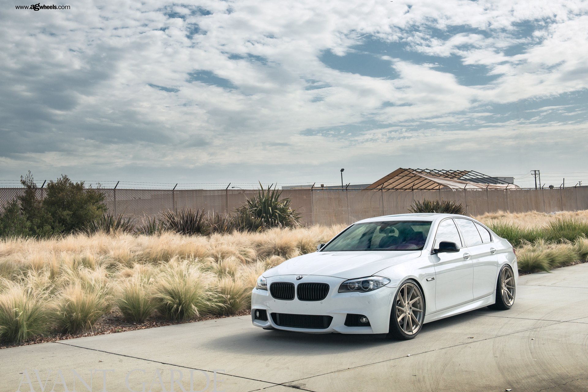 Front Bumper with Fog Lights on White BMW 5-Series - Photo by Avant Garde Wheels