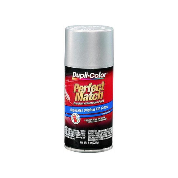 Ford satin silver touch up paint #10