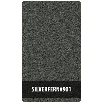 Silver Fern #901