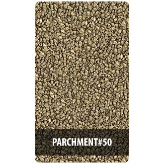 Parchment #50