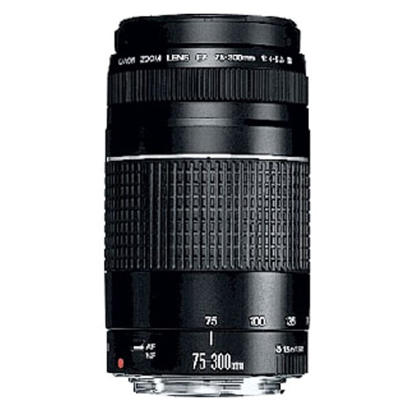 美品級 Canon EF 75-300mm IS USM☆超望遠レンズ☆人気望遠 - レンズ