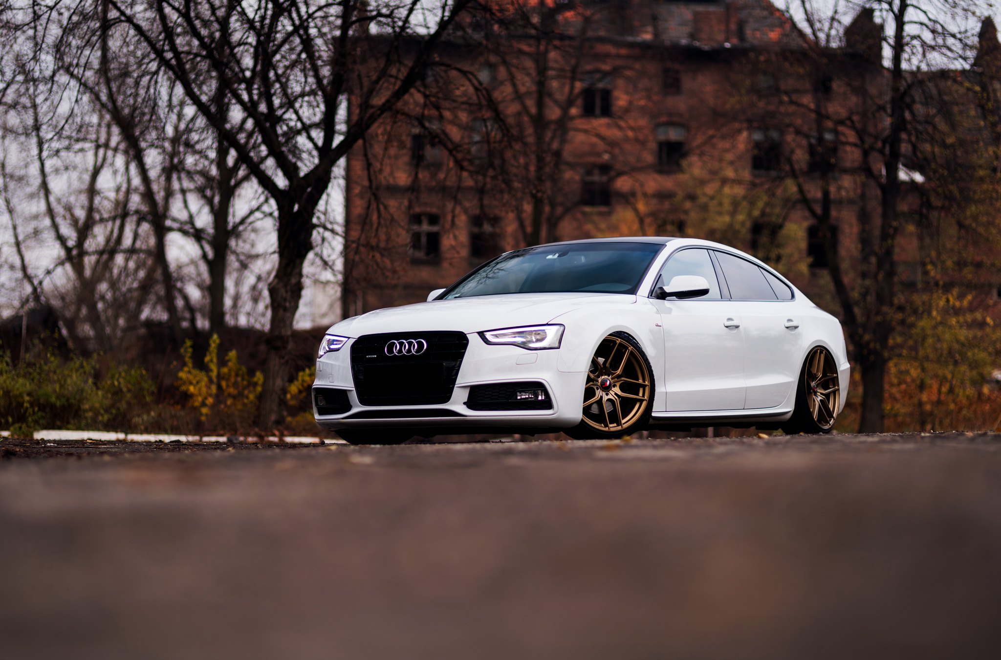 Front Bumper with Fog Lights on White Audi A5 - Photo by JR Wheels