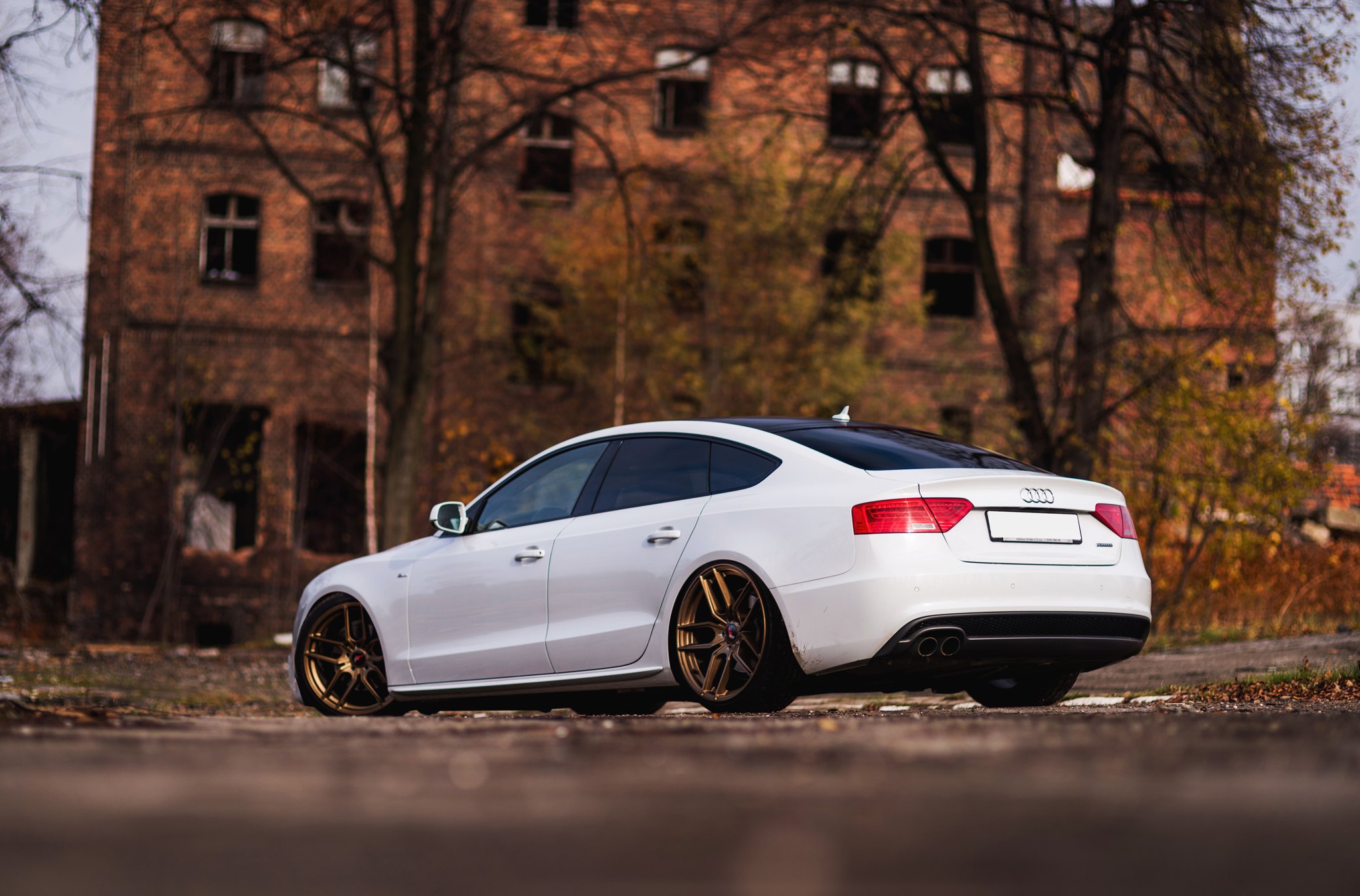 Red LED Taillights on White Audi A5 - Photo by JR Wheels