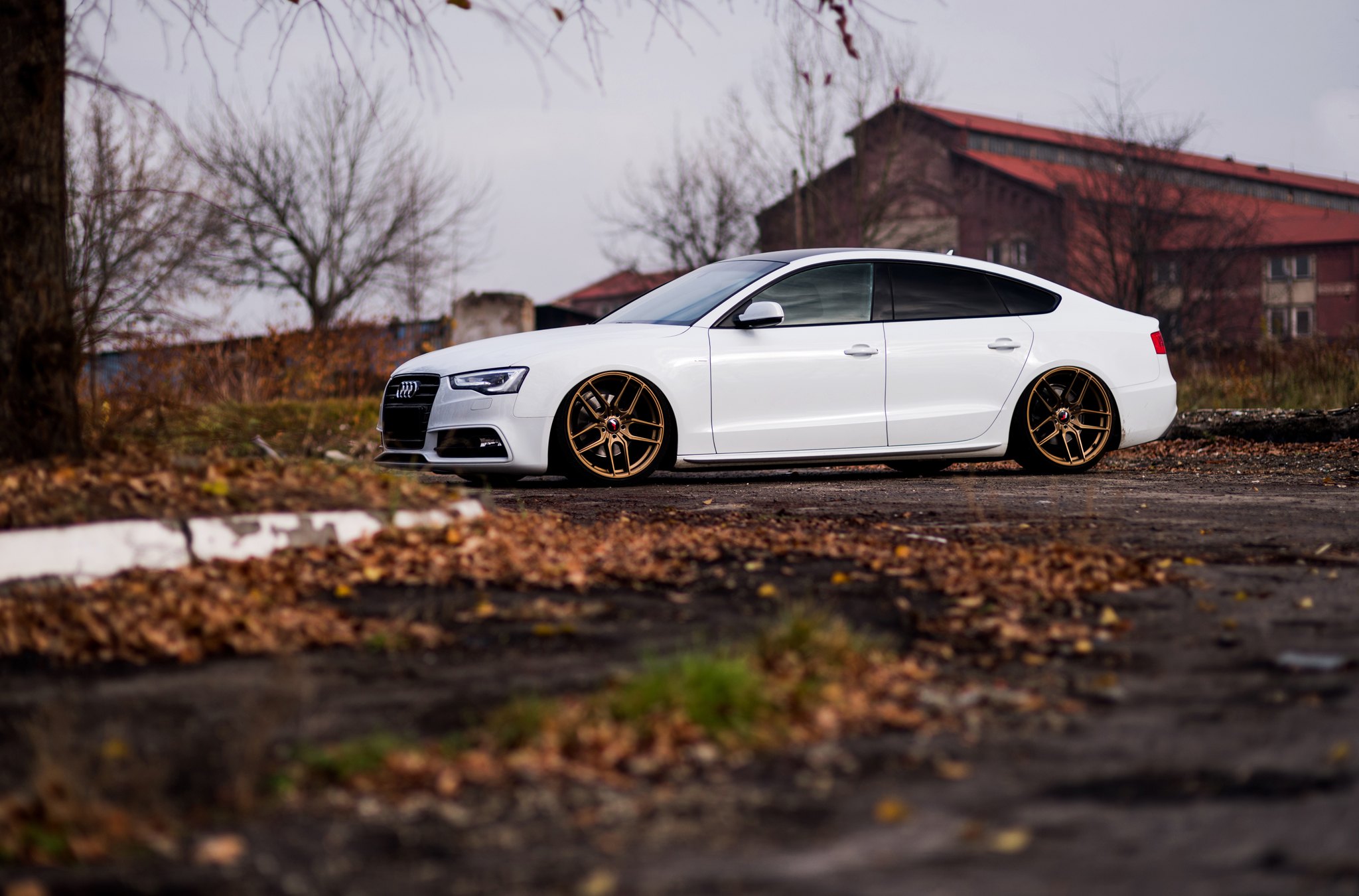 White Audi A5 with Custom Bronze JR Wheels - Photo by JR Wheels