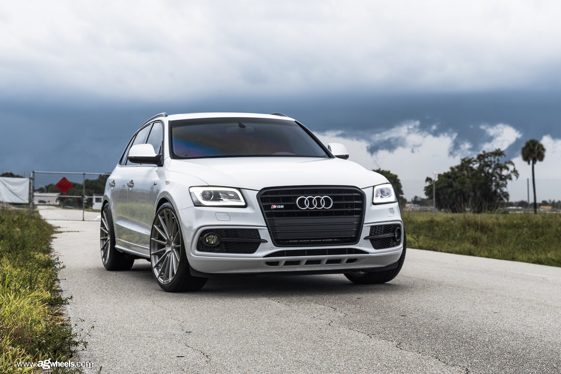 Front Bumper with Fog Lights on White Audi Q5 - Photo by Avant Garde Wheels