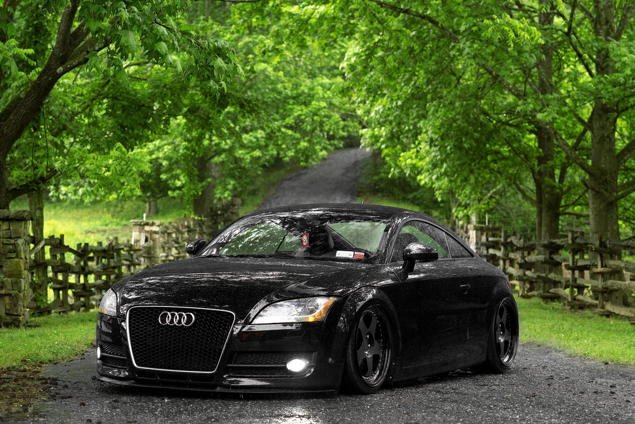 Stanced Audi TT with All Balck Rotiform CUP Rims - Photo by Rotiform