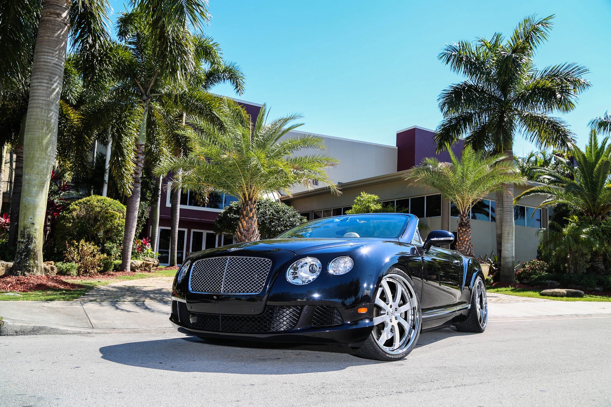 Chrome Mesh Grille on Black Convertible Bentley Continental - Photo by Strasse Forged