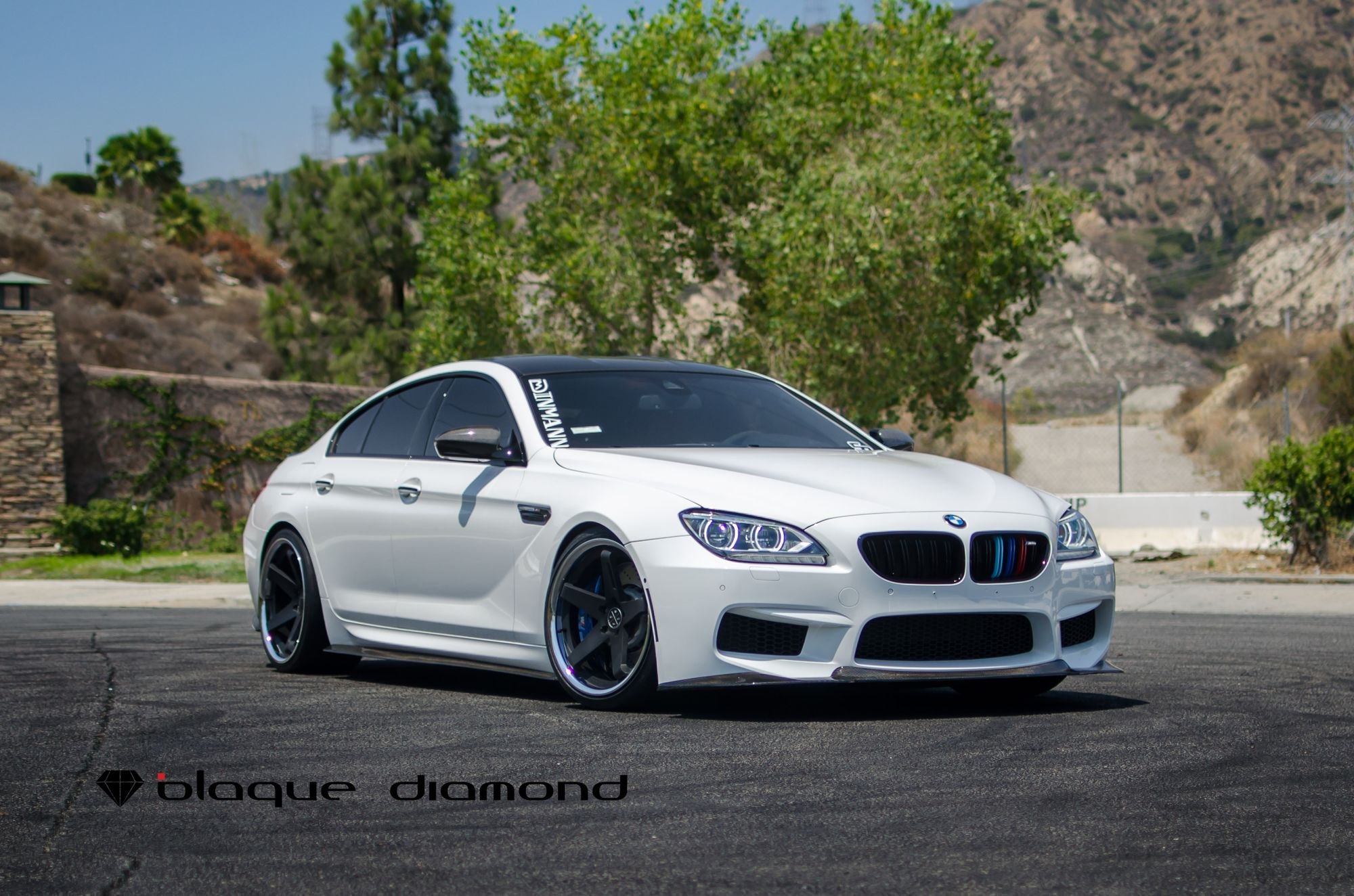 Carbon Fiber Front Lip on White BMW 6-Series - Photo by Blaque Diamond