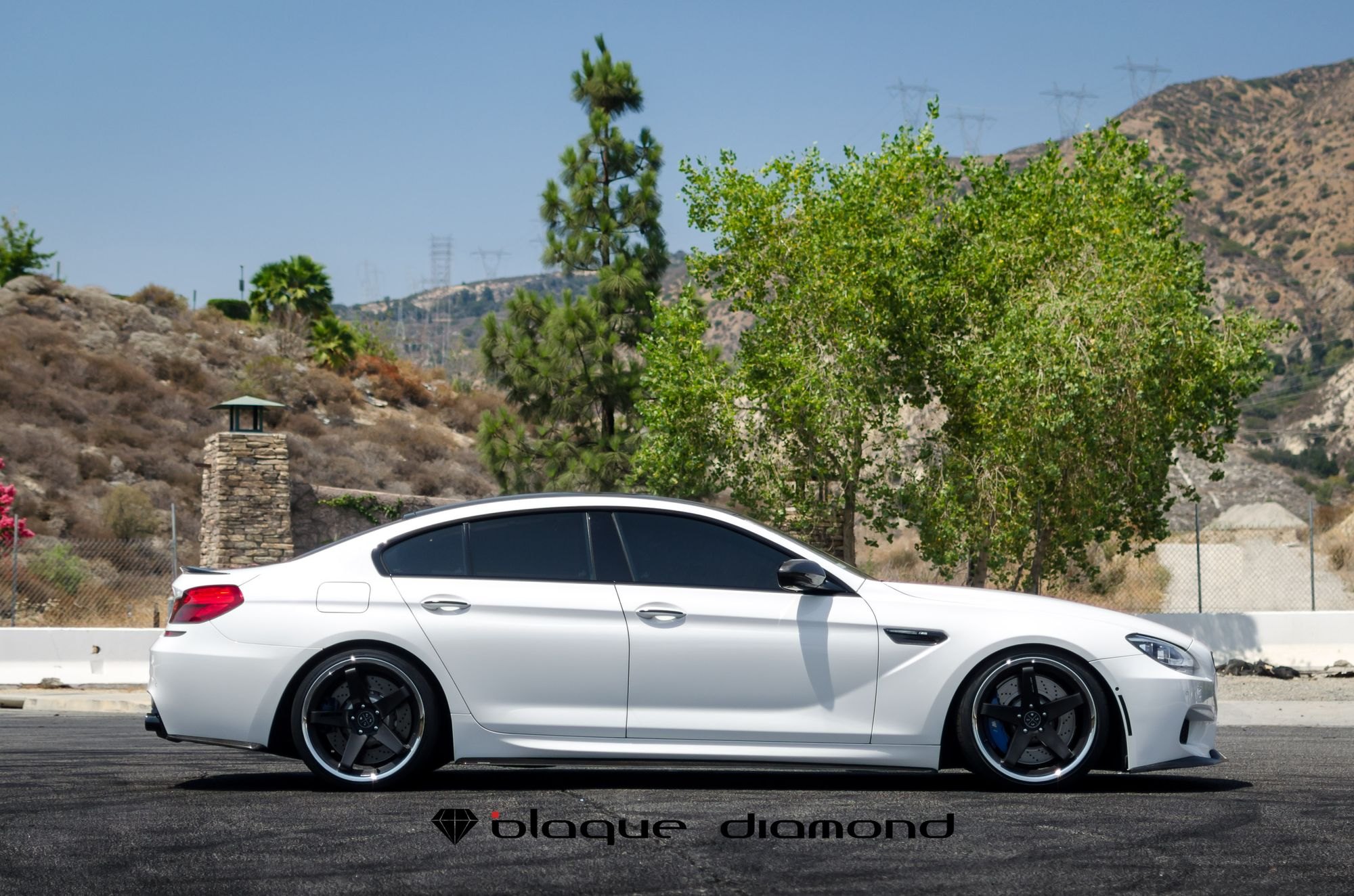 Carbon Fiber Side Skirts on White BMW 6-Series - Photo by Blaque Diamond
