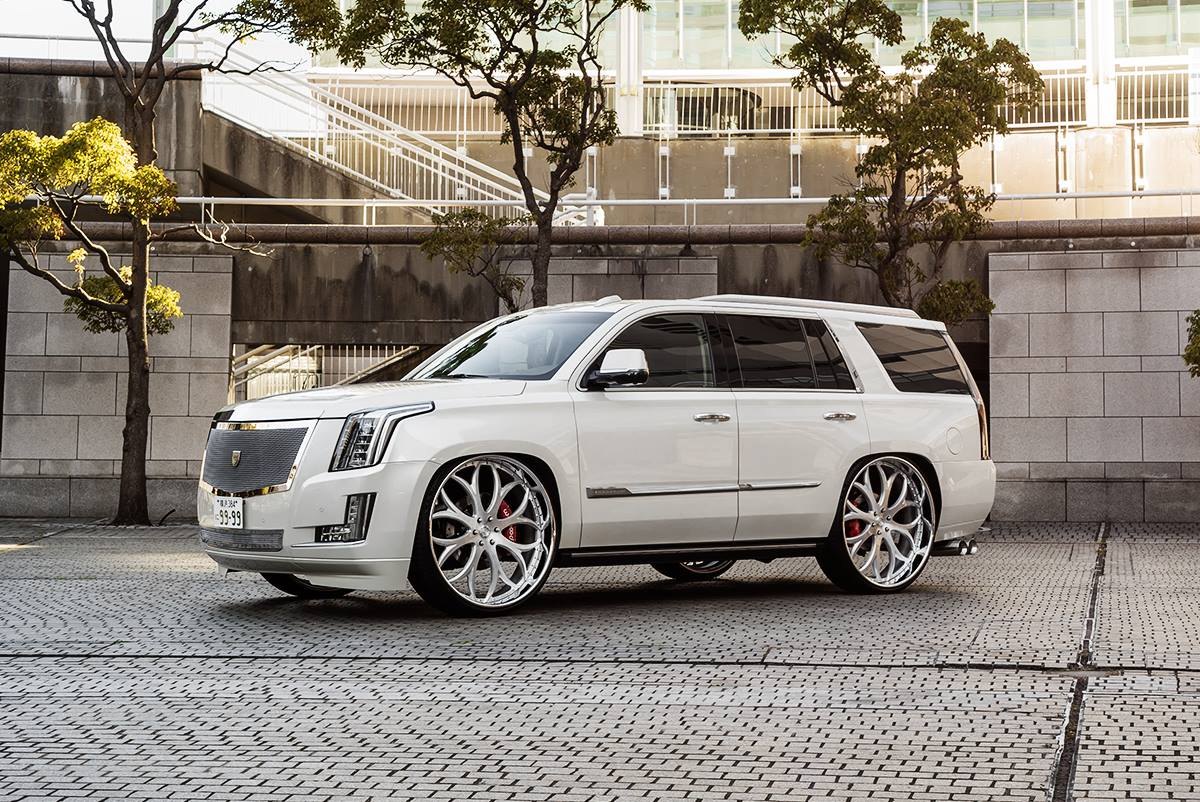 White Cadillac Escalade with Chrome Mesh Grille - Photo by Lexani