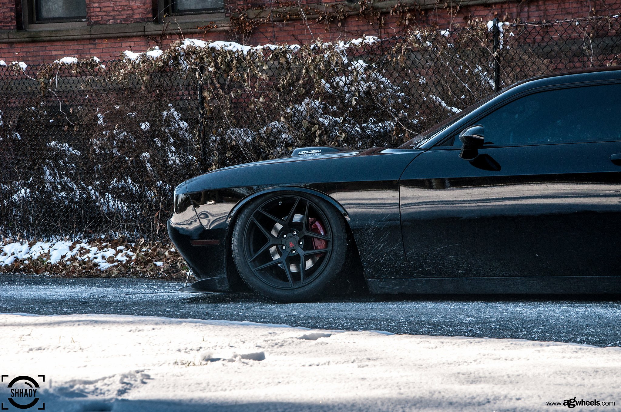 Black Dodge Challenger RT on Federal Couragia Tires - Photo by Avant Garde Wheels