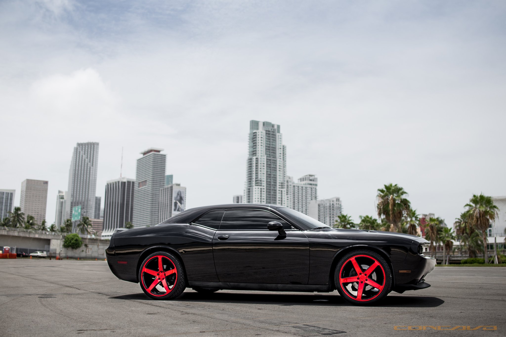 Black Window Tint on Dodge Challenger - Photo by Concav
