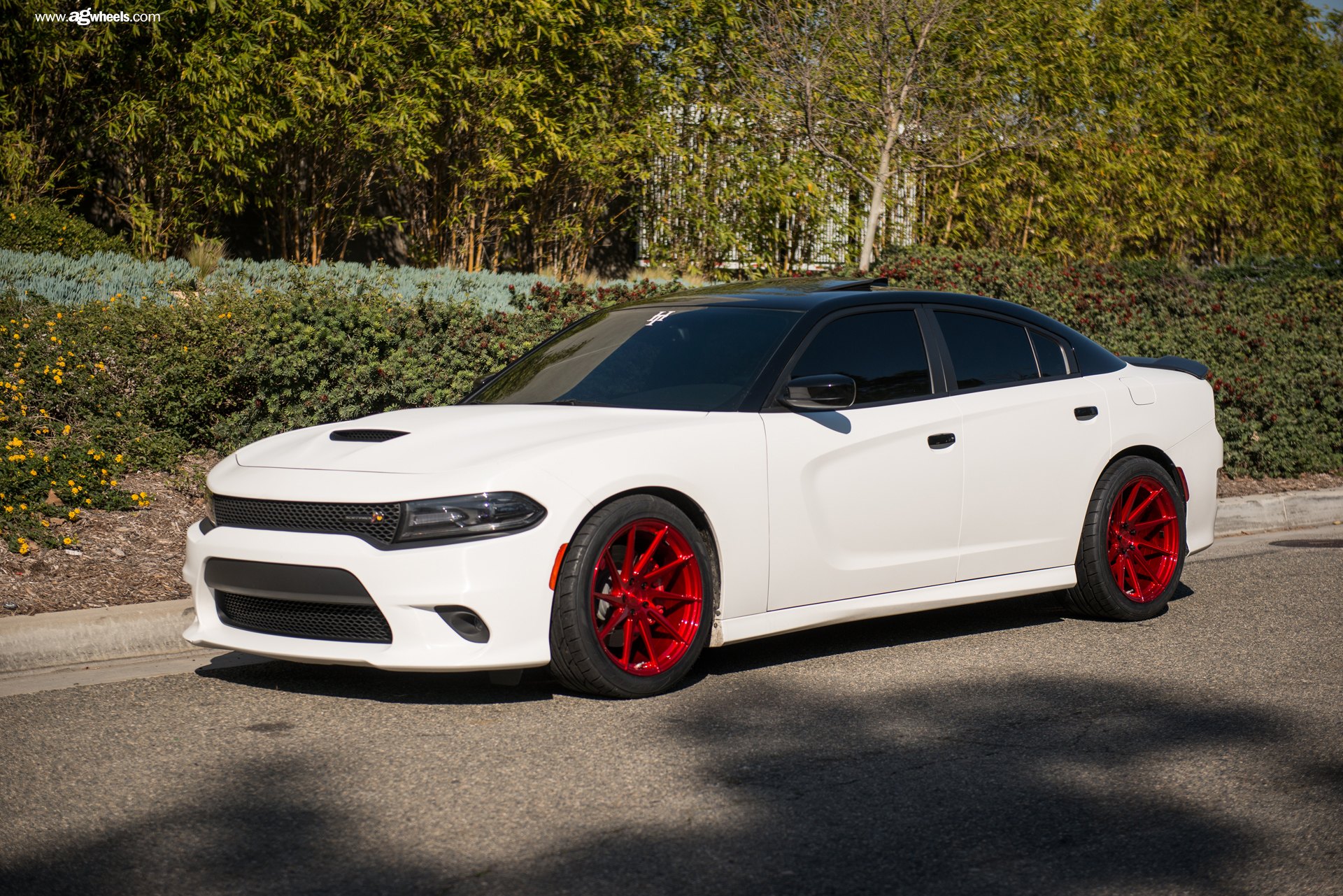 Stylish Warrior: White Dodge Charger with Black Roof and Red Wheels