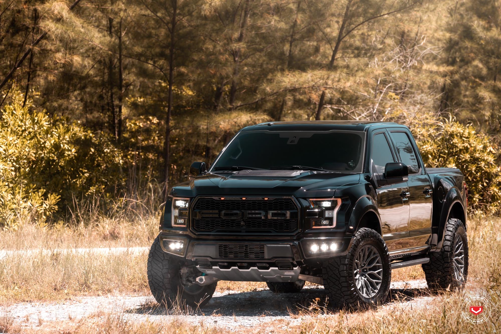 Black Lifted Ford F-150 with Custom Mesh Grille - Photo by Vossen
