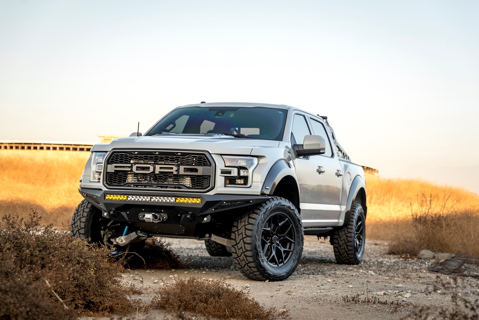 White Lifted Ford F-150 with Custom Mesh Grille - Photo by Venom Rex
