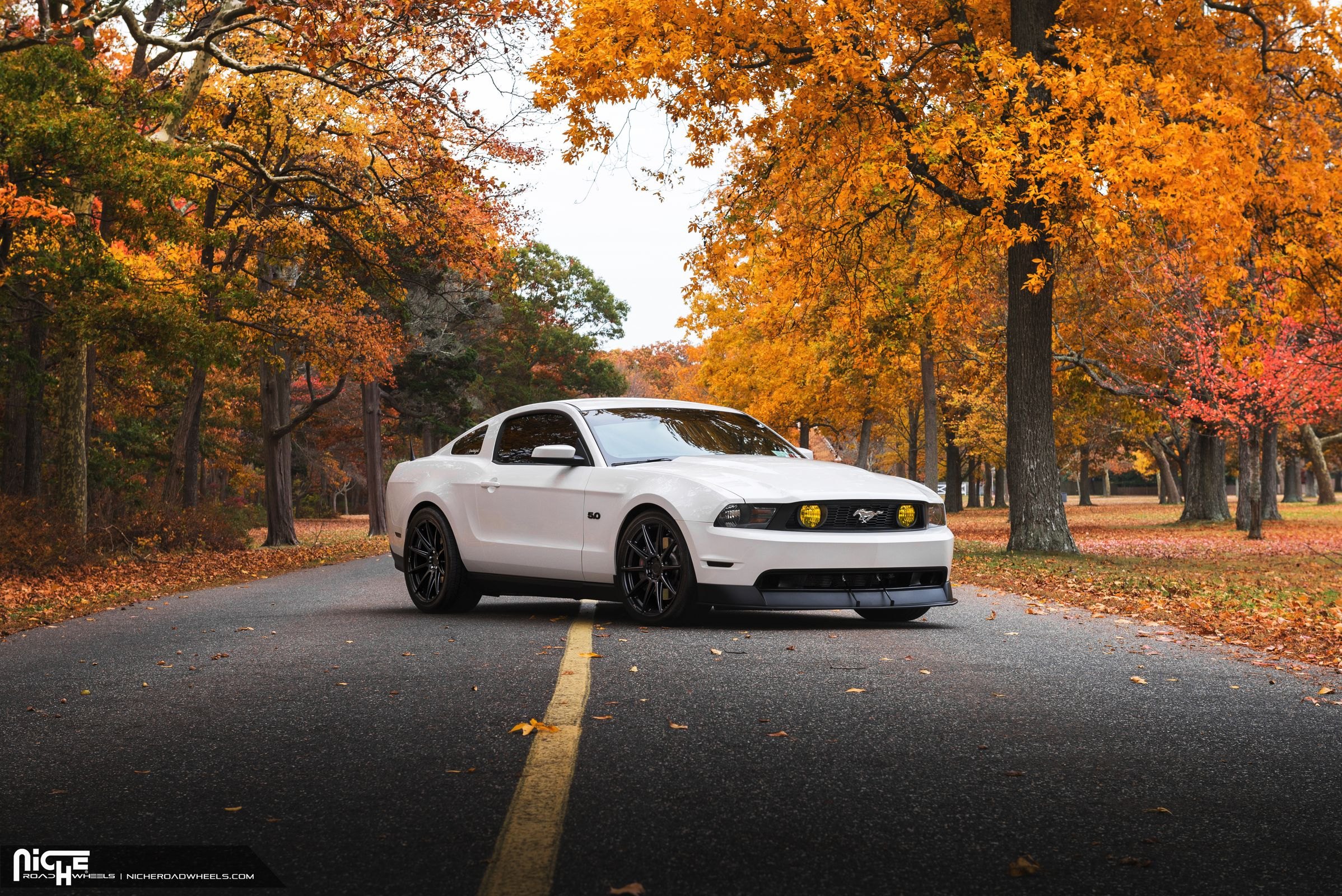 White Ford Mustang 5.0 with Custom Front Lip - Photo by Niche