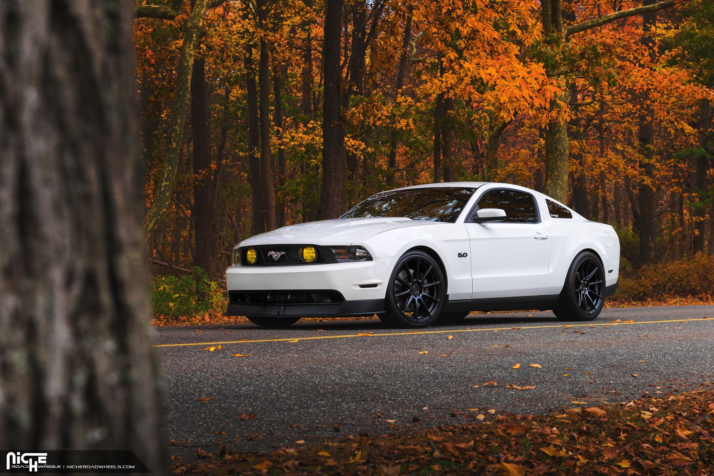 Aftermarket Yellow Fog Lights on White Ford Mustang - Photo by Niche
