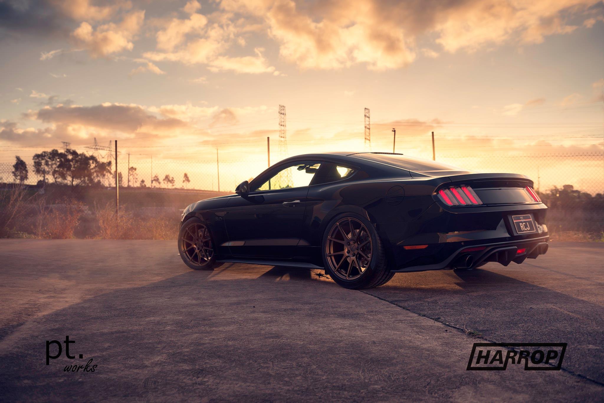 Custom Rear Diffuser on Black Ford Mustang - Photo by PT works