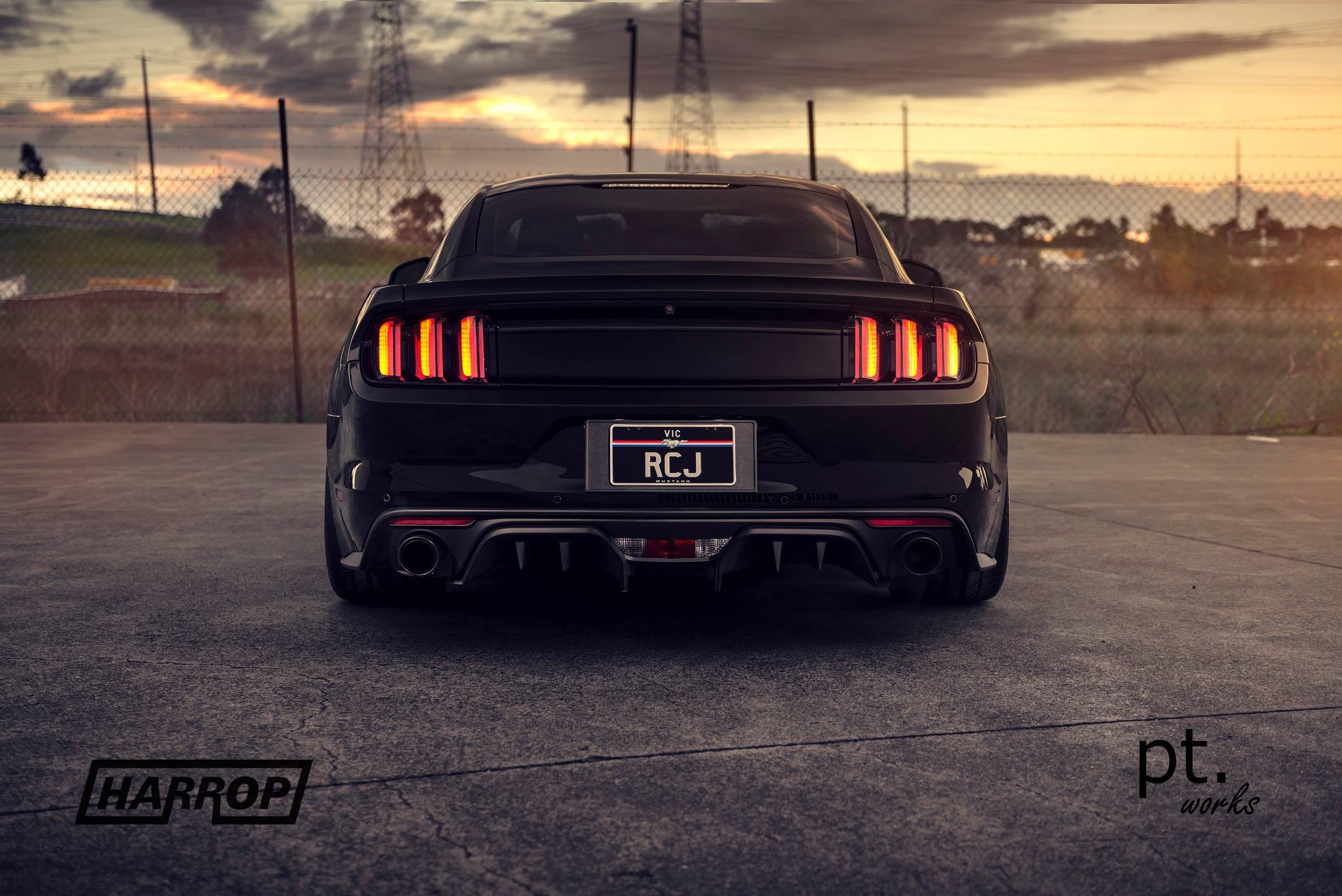 Custom Black Ford Mustang 5.0 Rear Diffuser - Photo by PT works