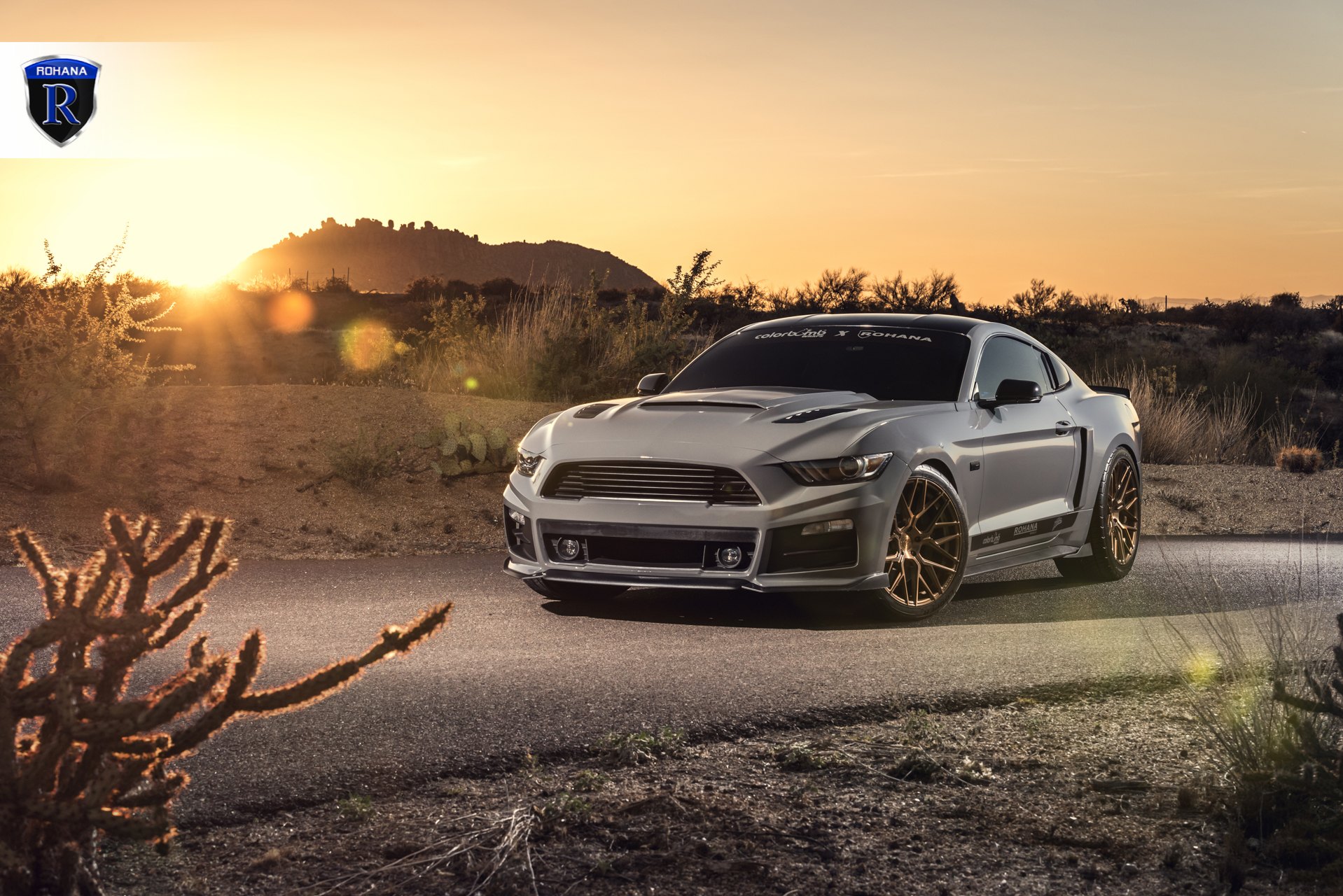 Custom Hood with Air Vents on Gray Ford Mustang - Photo by Rohana Wheels