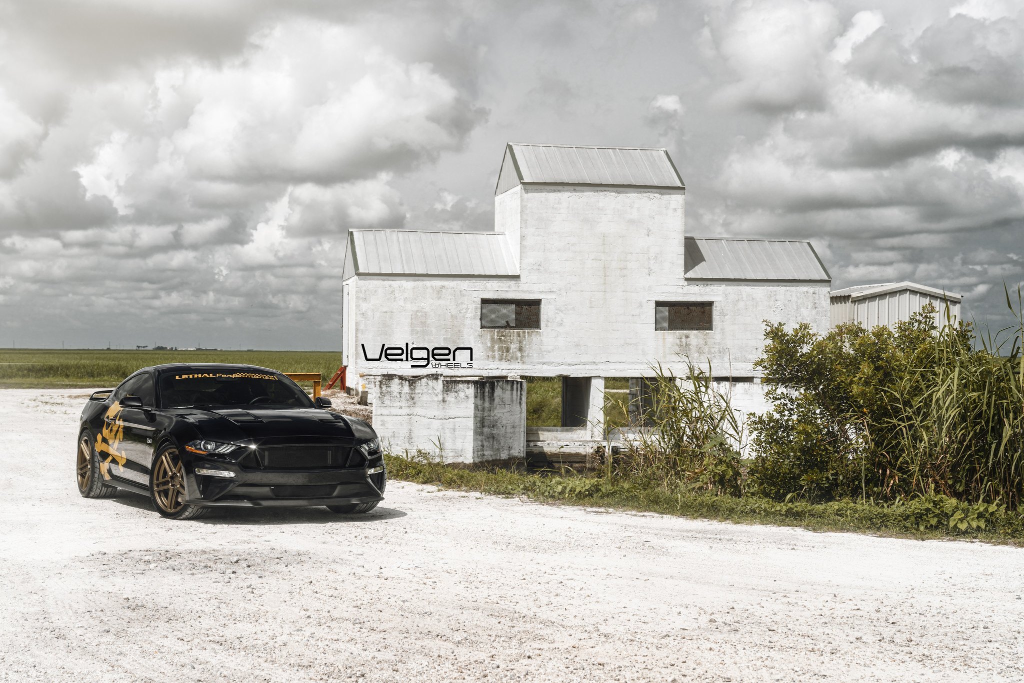 Aftermarket Vented Hood on Black Ford Mustang GT - Photo by Velgen Wheels