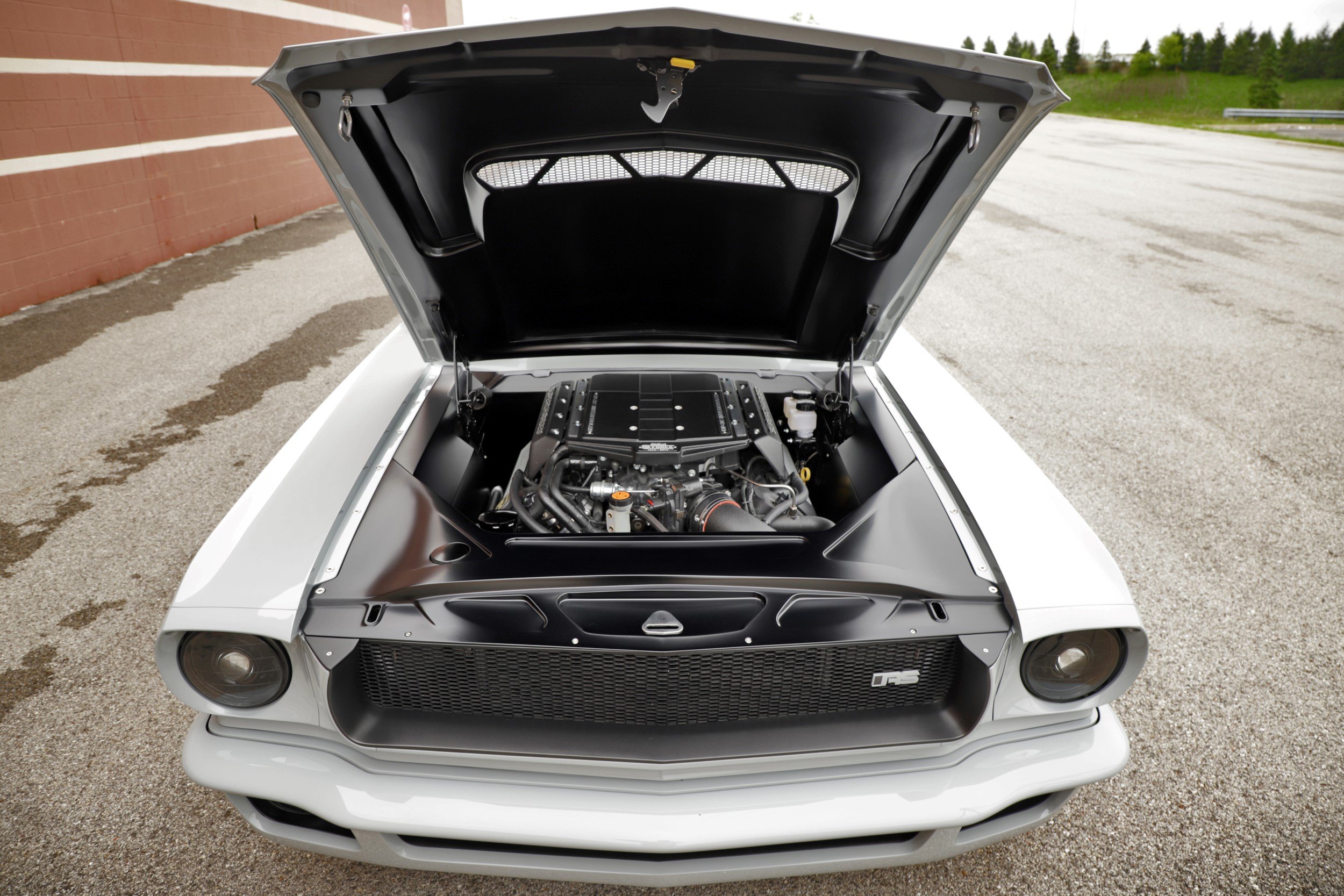 Custom White Ford Mustang Engine Setup - Photo by Roadster Shop