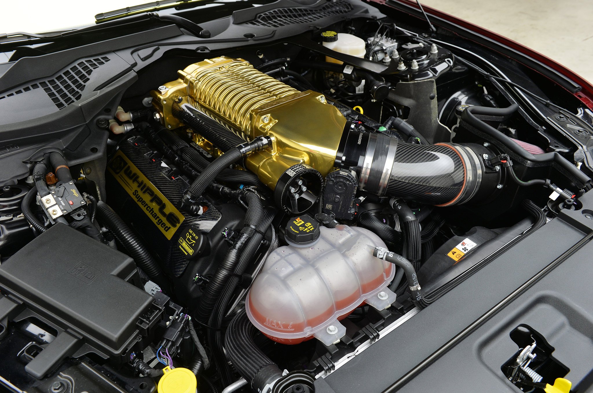 Ford Mustang Whipple Supercharger - Photo by MAD Industries