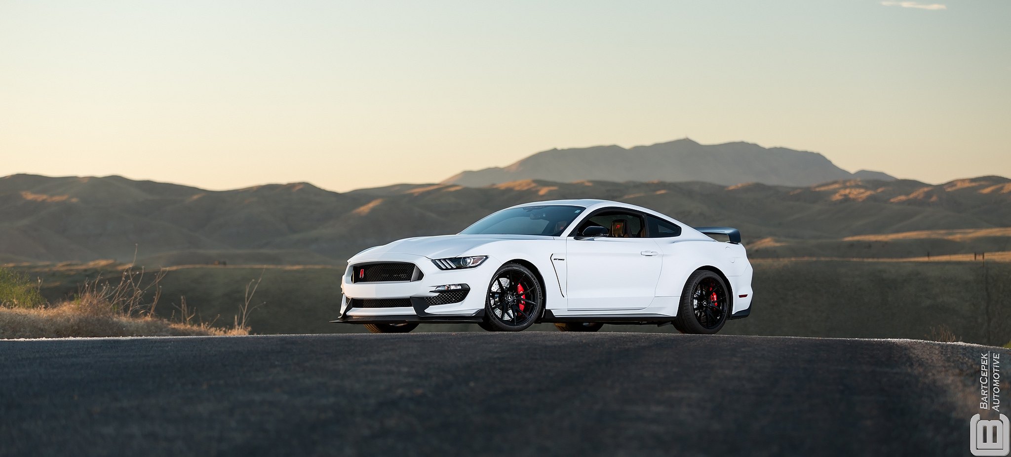 Blacked Out Mesh Grille on Custom White Ford Mustang - Photo by Vorsteiner