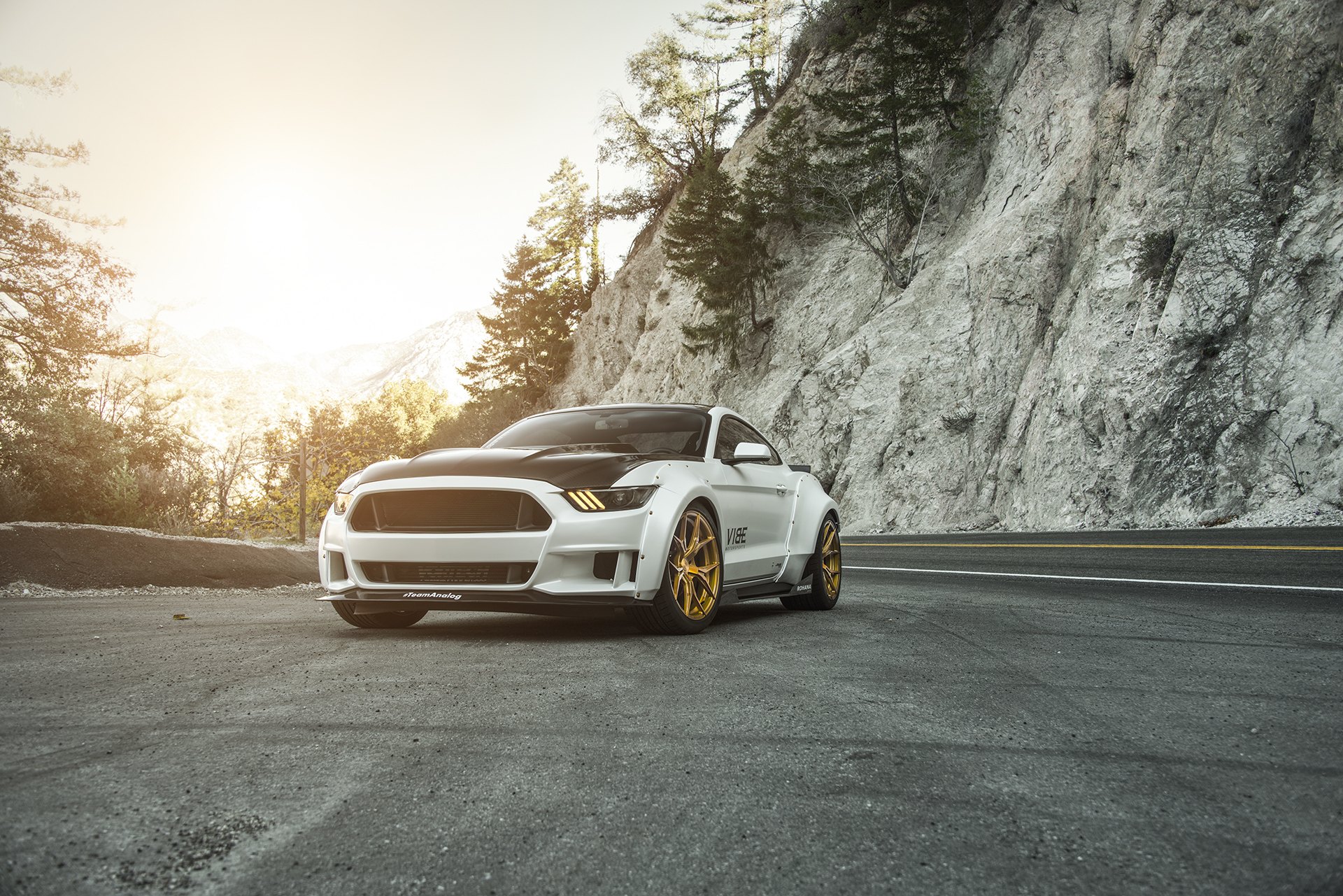 Performance Modified S550 Mustang In the Canyons - Photo by Vibe Motorsports