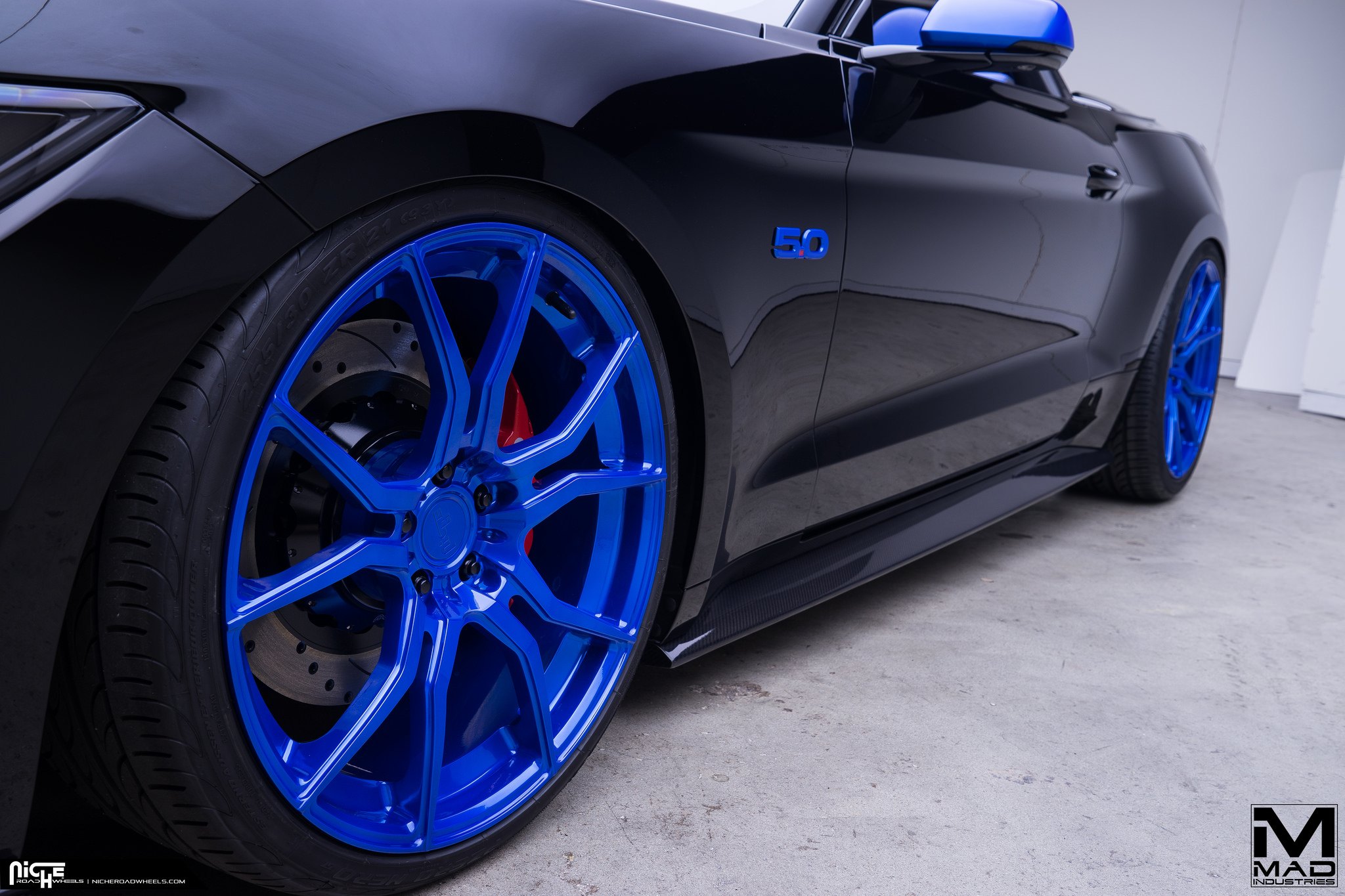 Blue Custom Painted Niche Ascari Rims - Photo by MAD Industries