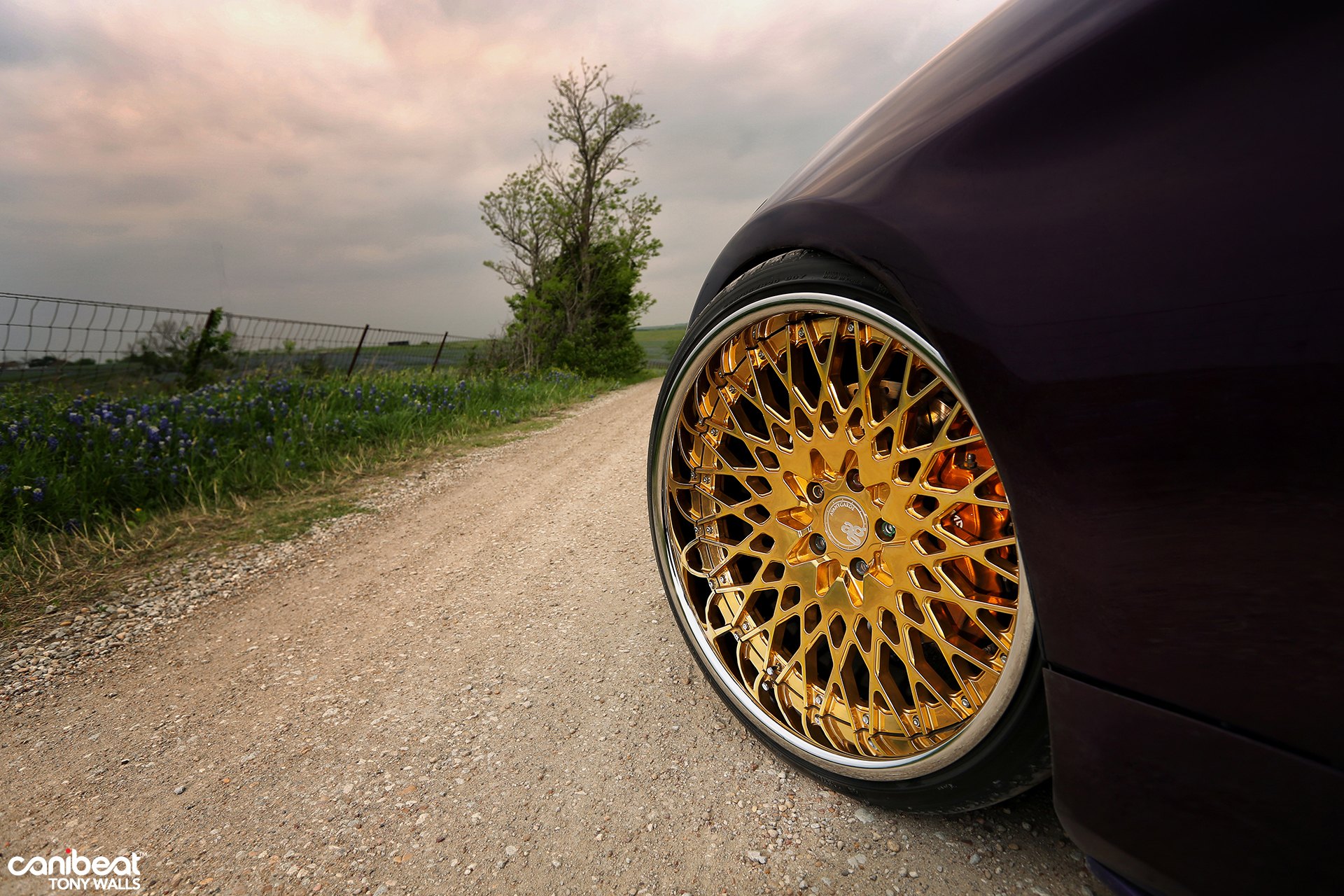 Gold Avant Garde Wheels on Custom Hyundai Genesis Coupe - Photo by Avant Garde Wheels