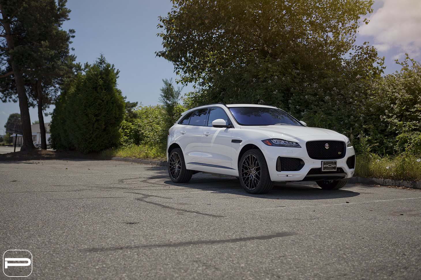 Blacked Out Mesh Grille on White Jaguar F-Pace - Photo by PUR Wheels