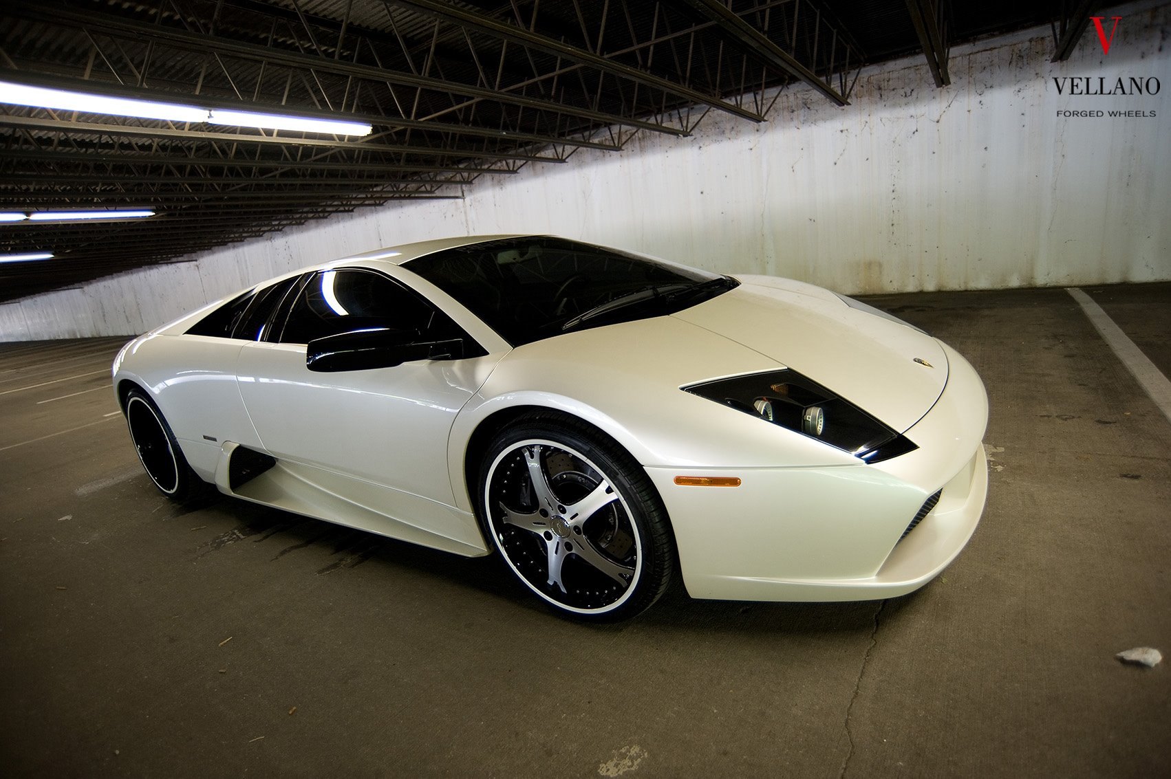 Custom White Pearl Lamborghini Murcielago - Photo by Vellano