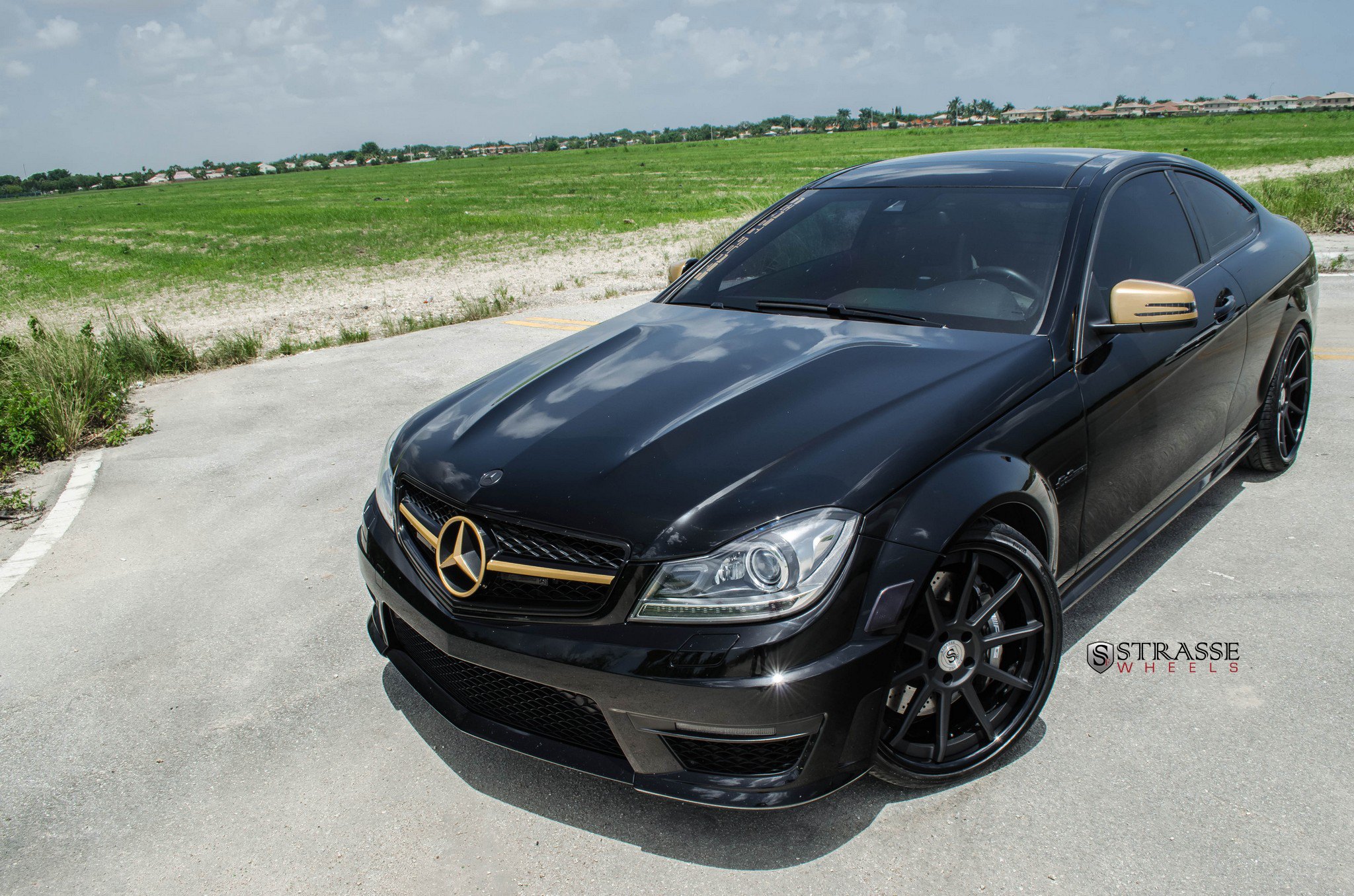 Mesh Grille with Custom Emblem on Mercedes C-Class - Photo by Strasse Forged
