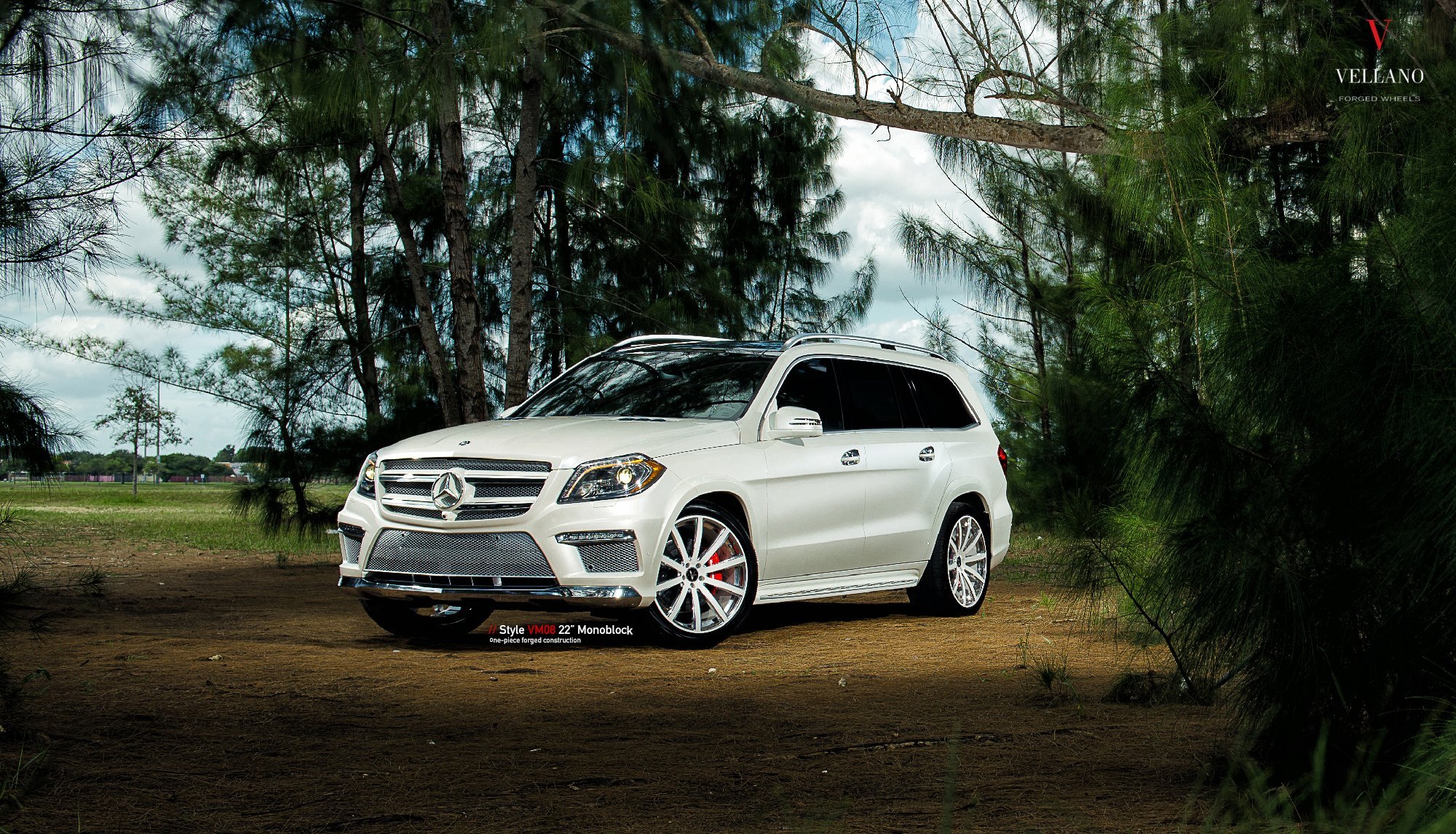 Chrome Mesh Grille on White Mercedes GL Class - Photo by Vellano