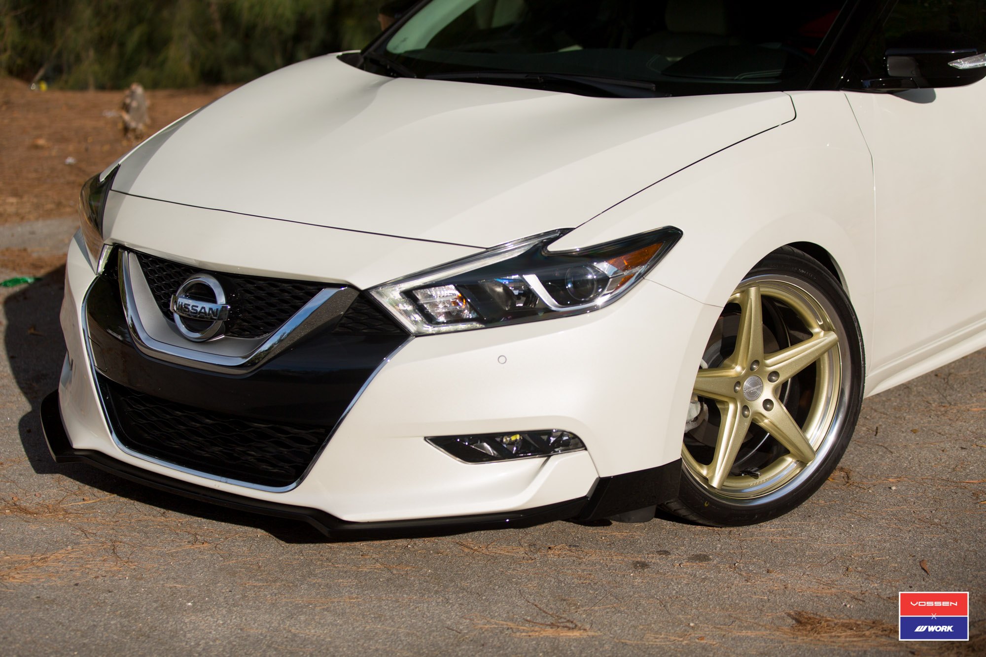 Gold Vossen Rims With Work Polished Lips - Photo by Vossen