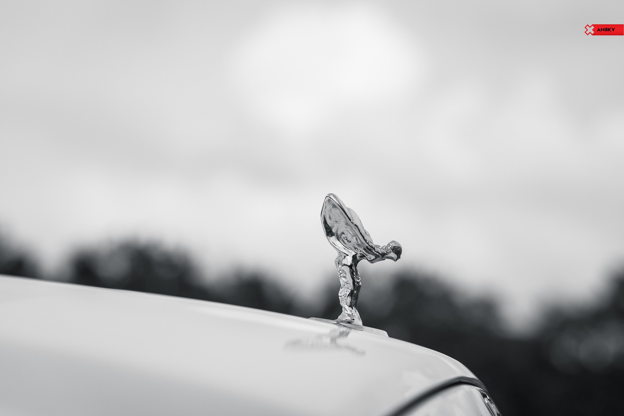 Custom Chrome Emblem on White Rolls Royce Dawn - Photo by ANRKY Wheels